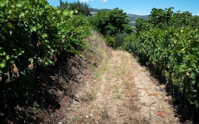 Villa With 3 Bedrooms in Lamego, With Wonderful Mountain View, Private