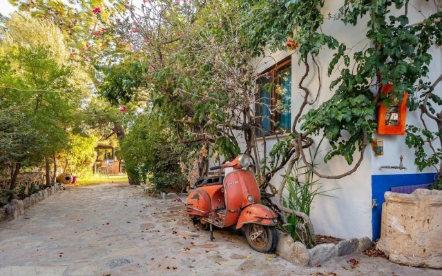 Zeytin Pansiyon Palamutbükü