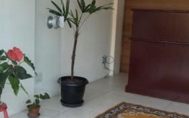 Hostel Scheckinah Ii