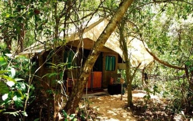Mahoora Explorer - Dambana by Eco Team