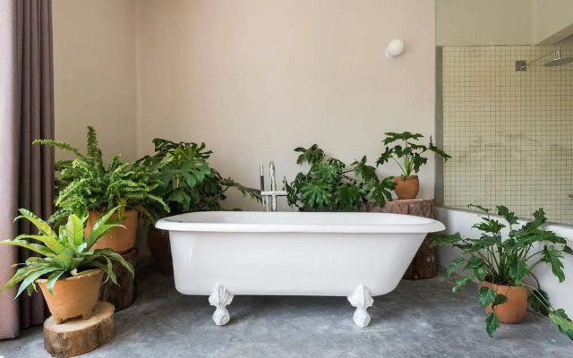 Chaya B & B Boutique