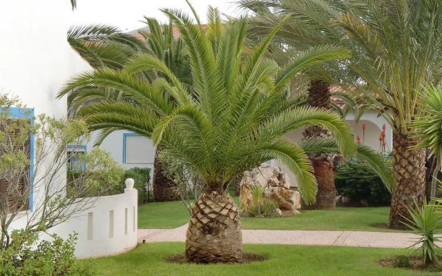Ponta Grande Carvoeiro