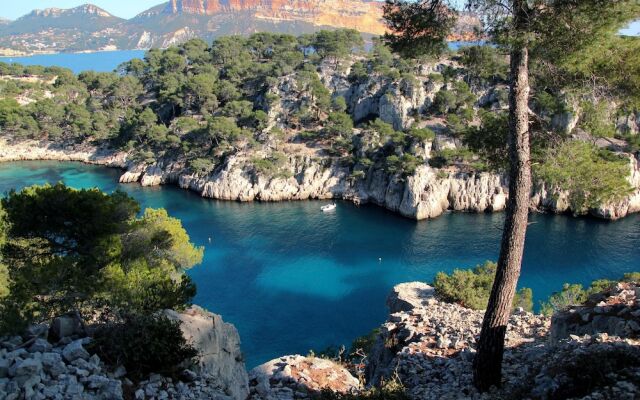 Rare - Escale Bicolore à 16km de Cassis