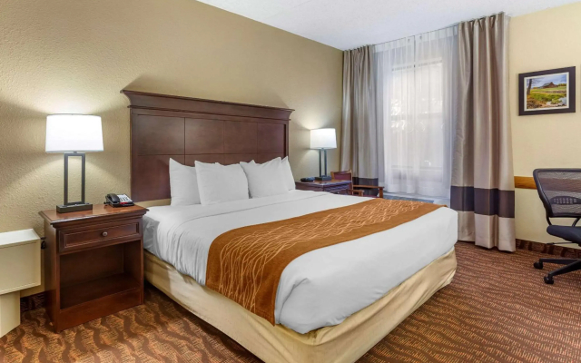 Comfort Inn & Suites Branson Meadows