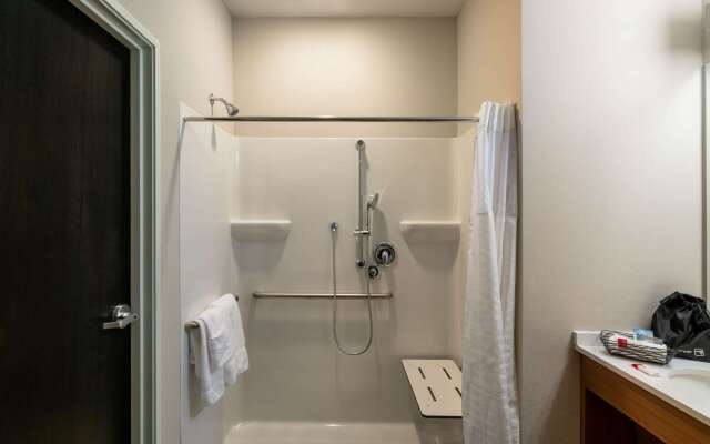 Microtel Inn & Suites by Wyndham Carlisle