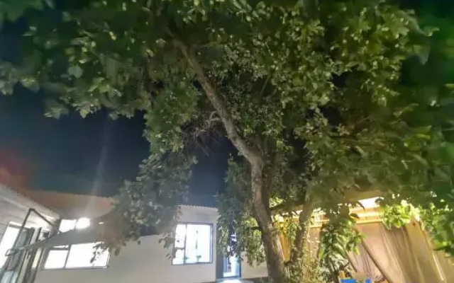 Suyi Courtyard Homestay in Tekes