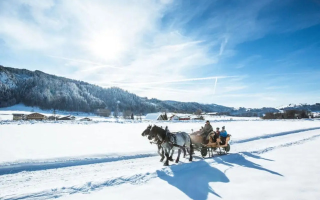 Lovely Apartment on a Farm in Radstadt