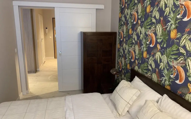 ApartmentSun Parrot