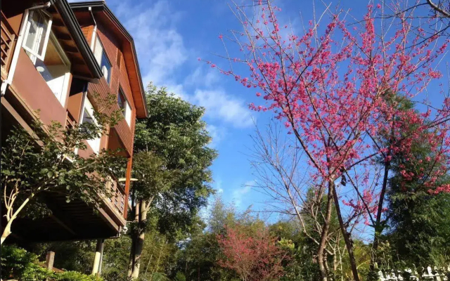 Walk Cloud Bed and Breakfast