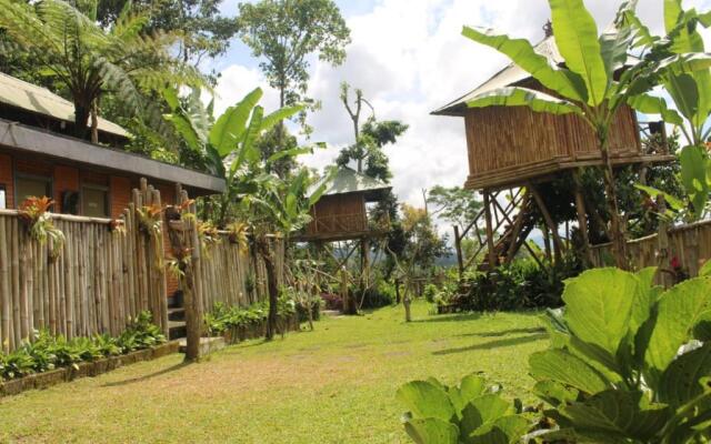 Bali Tree House Pelangi