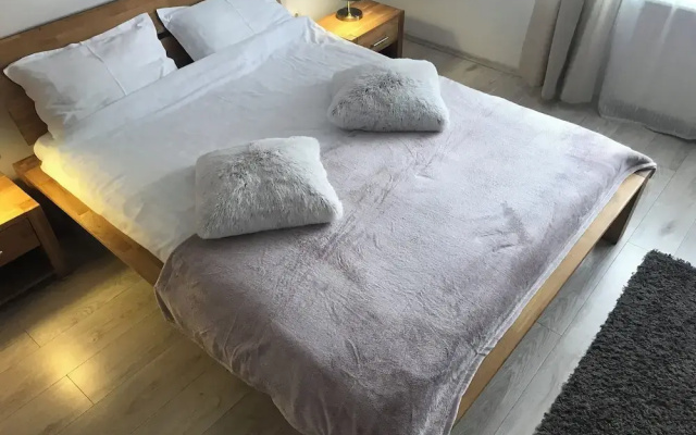 Modern Apartment