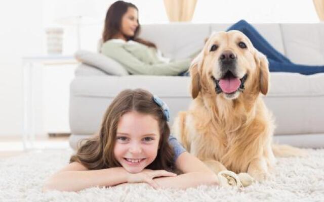 BOUTIQUE STAYS - Murrumbeena Place 2