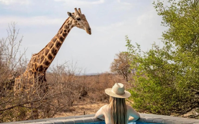 Tuningi Safari Lodge