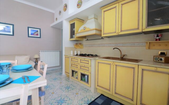 Alpa Suite