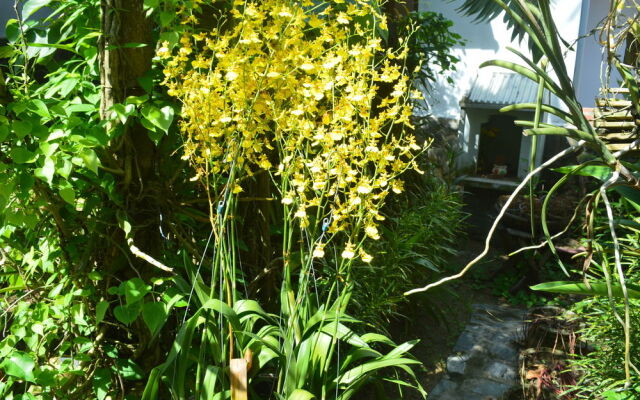 Orchid Garden Homestay