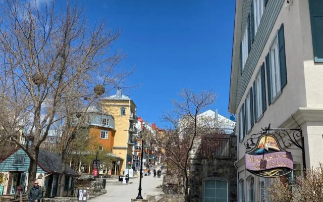 Mountain view fully renovated 6-8 people condo