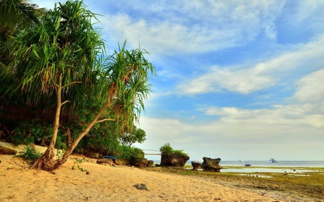 Toris Backpackers Paradise