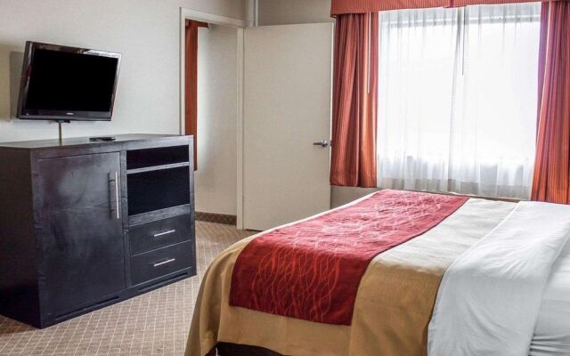 Comfort Inn North