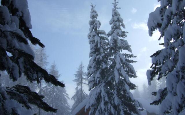 Ferienwohnungen Jagerhüttn