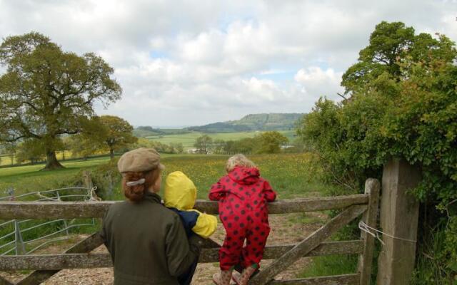Orchard Barn, Woodhayes