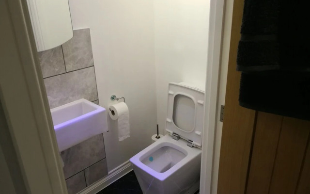 Blue Mackerel - Adults Only