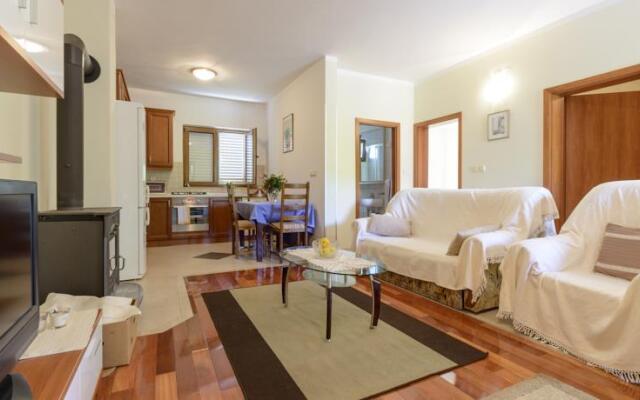 Apartment Petar