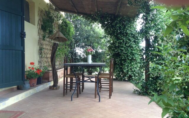 the House in the Garden