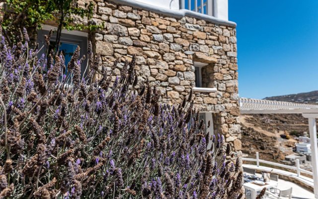 Vilotel Luxury Villas Mykonos