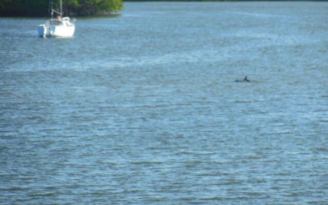 205 Bayview Ave. - M