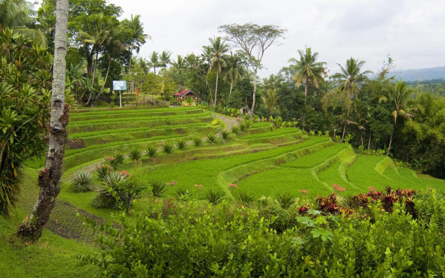 Puri Asri Hotel & Resort
