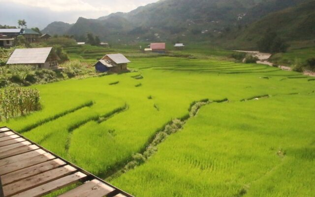 Sapa Terrace View Homestay - Hostel
