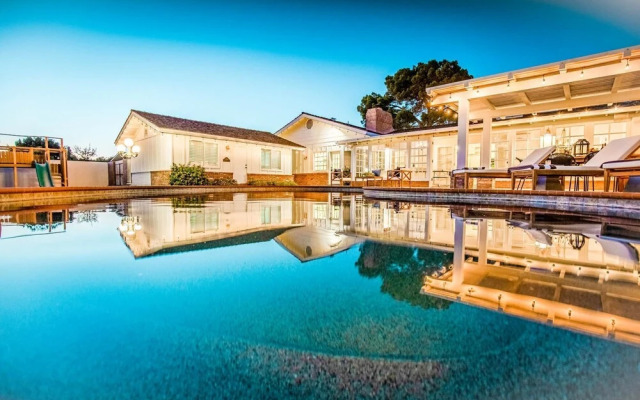 Exeter - Agave in Phoenix