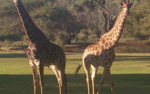 Thandile Country Lodge