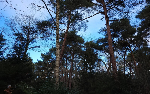 Secret Wellness De Droomtuin