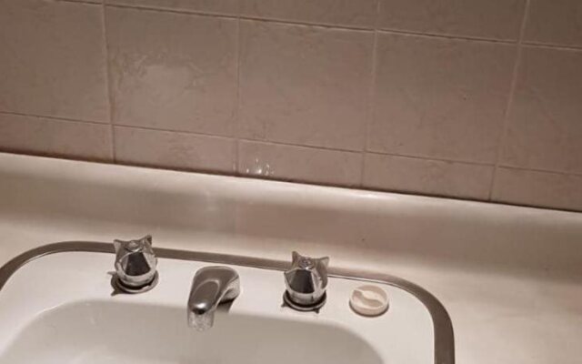 Watagans Forest Motel