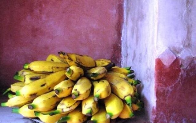 Riad les Inséparables