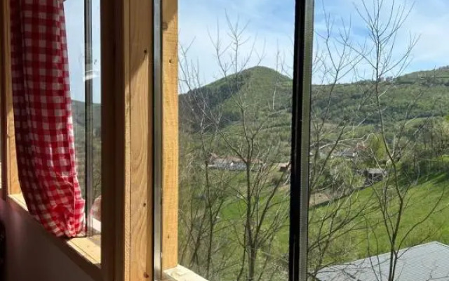 NINO Natural wood house 1