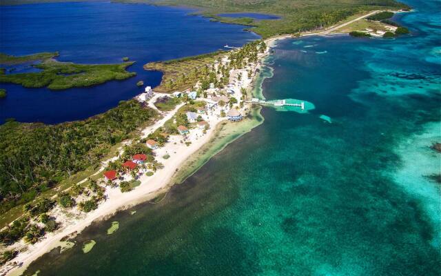 Blackbird Caye Resort