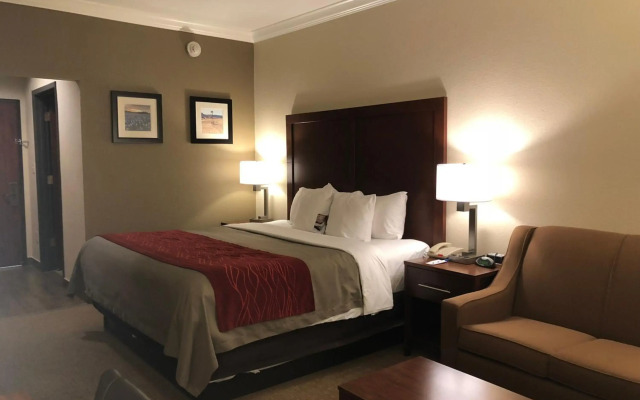 Comfort Inn Early Brownwood
