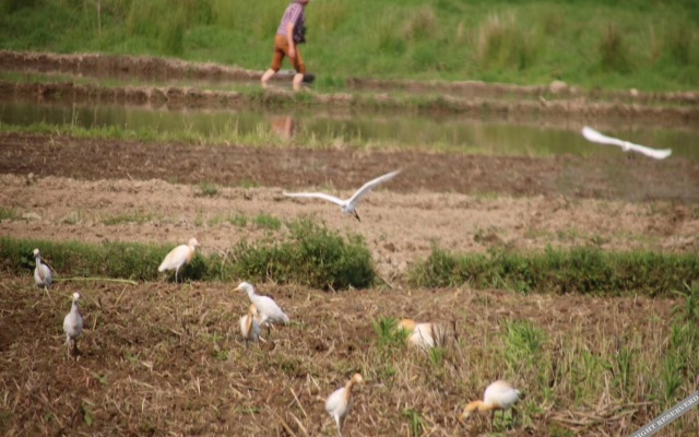 Fangfei Yunluting Inn