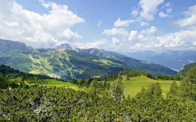 Cosy Flat in the Alps