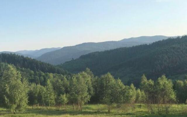 Dayarta