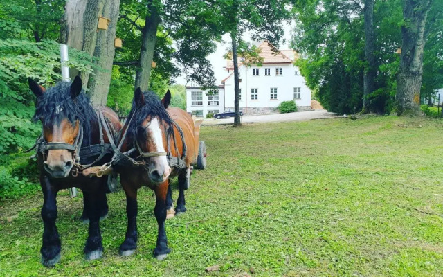 Dwór nad jeziorem w Bieniaszach