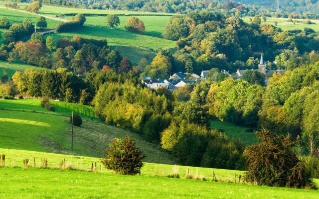 Modern Holiday Home in La Roche-en-ardenne With Garden