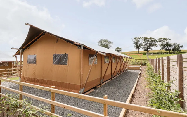 Lucky Clucky Lodge