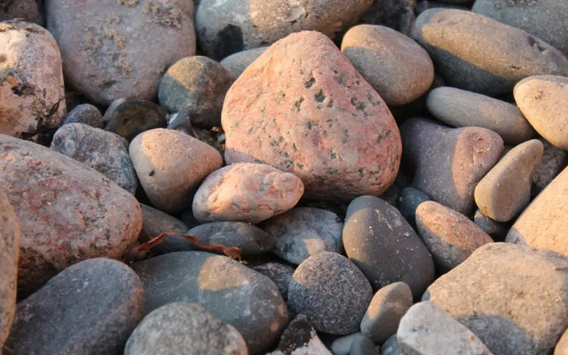 Sunlit Apartment with Garden in Steffenshagen