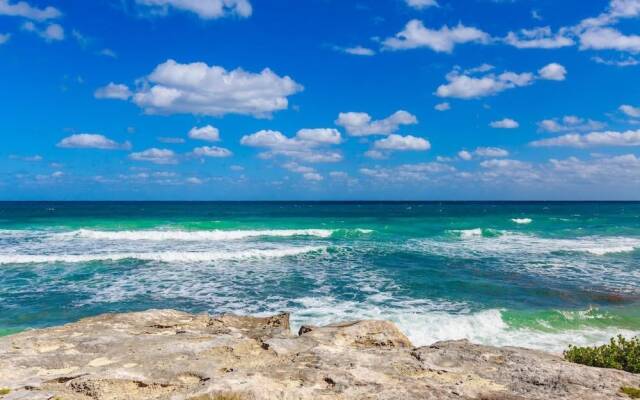 Casa Bongo by Skyrun