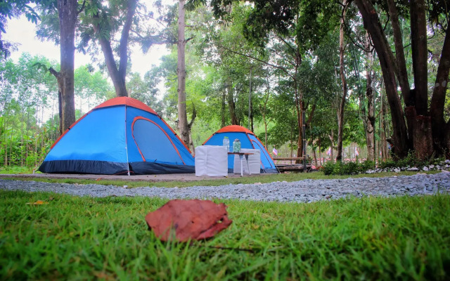 Mulberry at Pang Sita