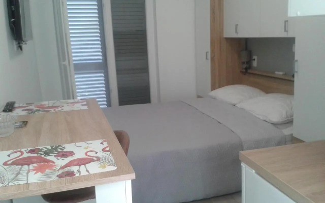 Studio Antonio New
