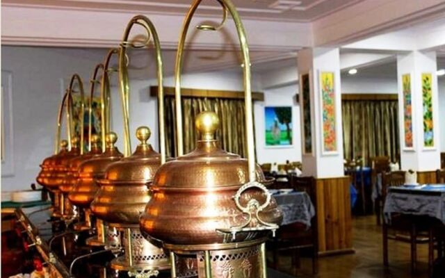 Hotel Holiday Ladakh